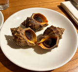 Conch Shells